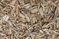 biomass boilers Rathven